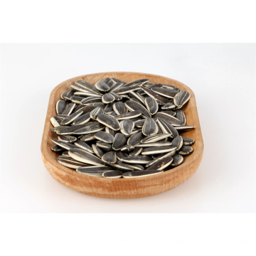 Green food Sunflower Seeds 363